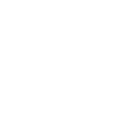The Roy restaurant